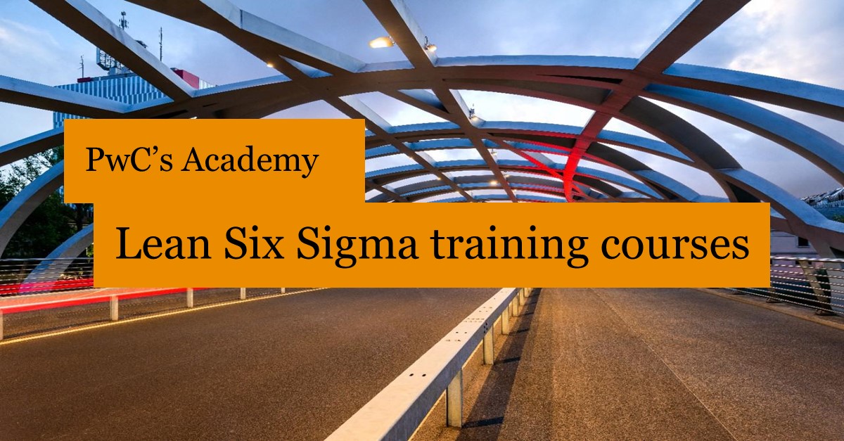 PwC’s Academy is presenting the upcoming Lean Six Sigma Training ...